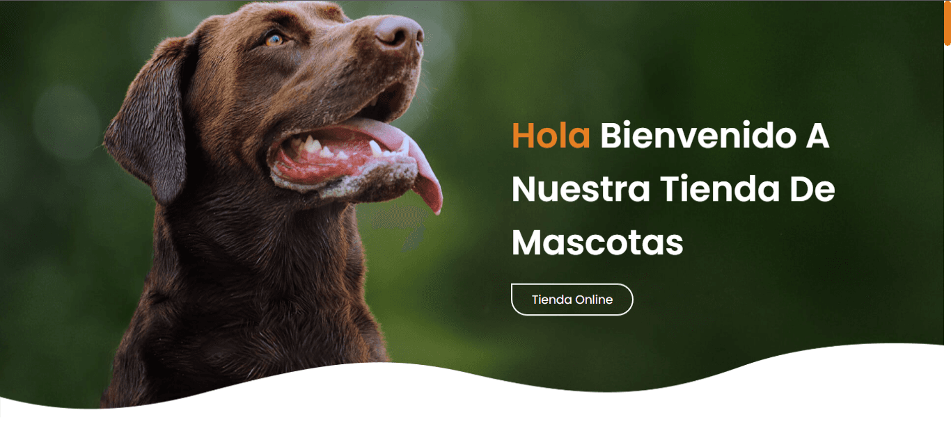 Captura de Pet Shop